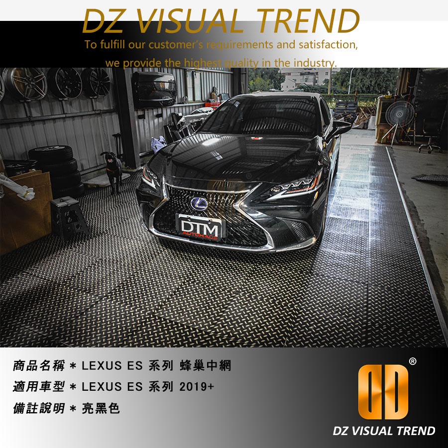 【大眾視覺潮流精品】LEXUS ES300H ES300 ES200 2019+ 蜂巢式 LS 水箱罩 原廠直上